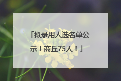 拟录用人选名单公示！商丘75人！